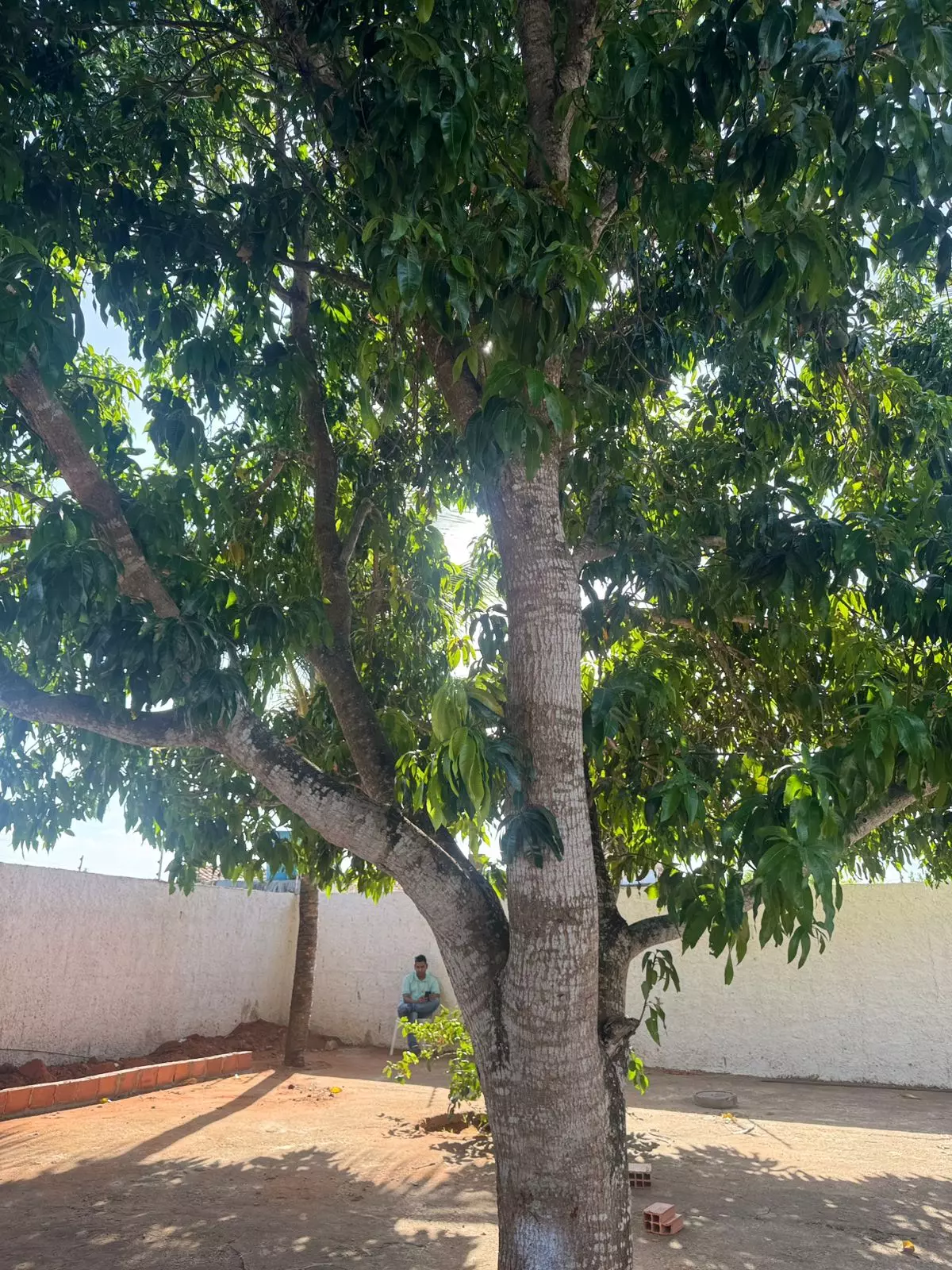 Clínica de recuperação em Santa Clara do Sul