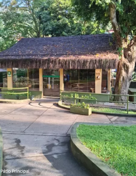 Clínica de recuperação em Calçoene
