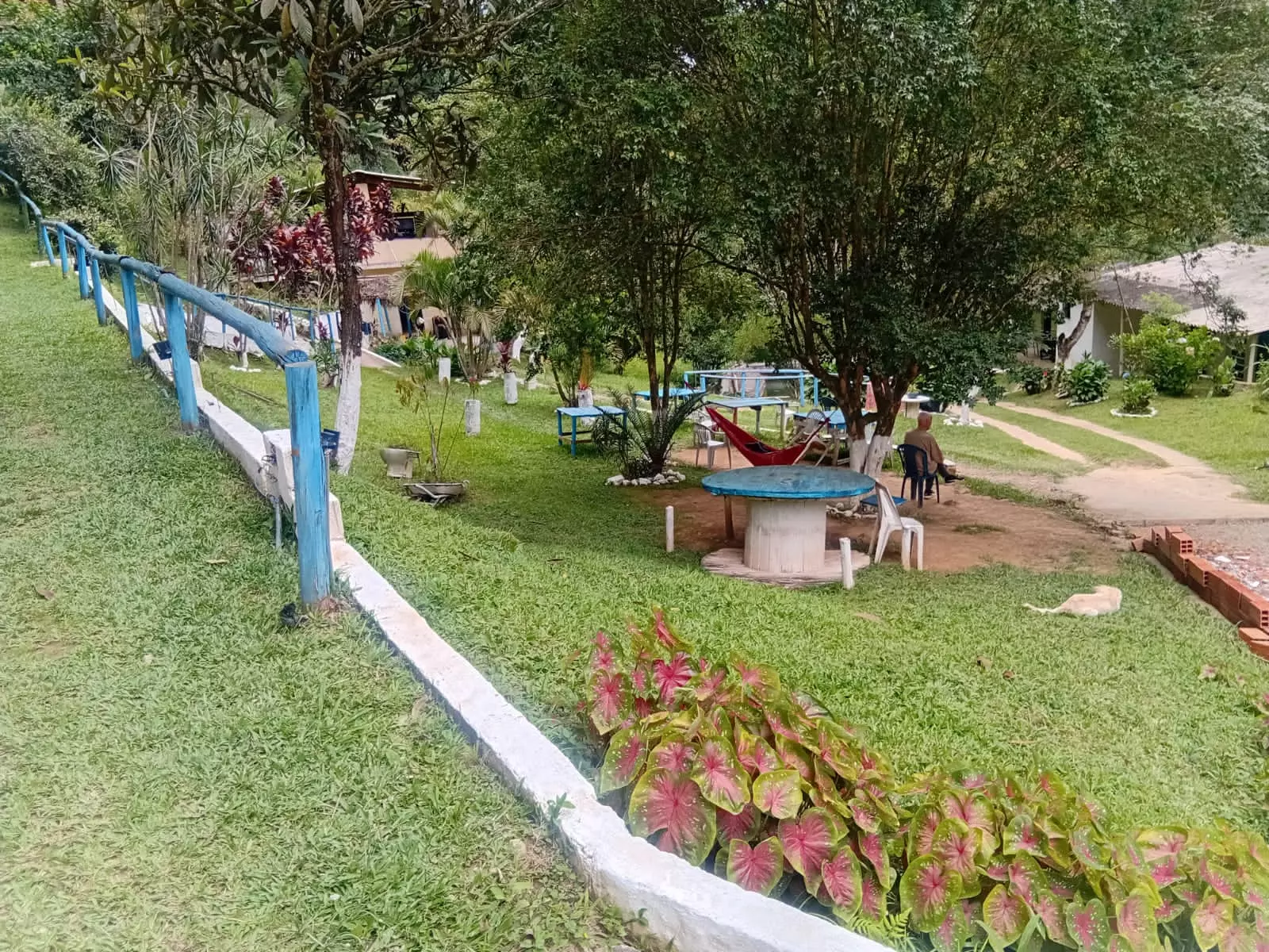 Clínica de recuperação em Palmeira dos Índios