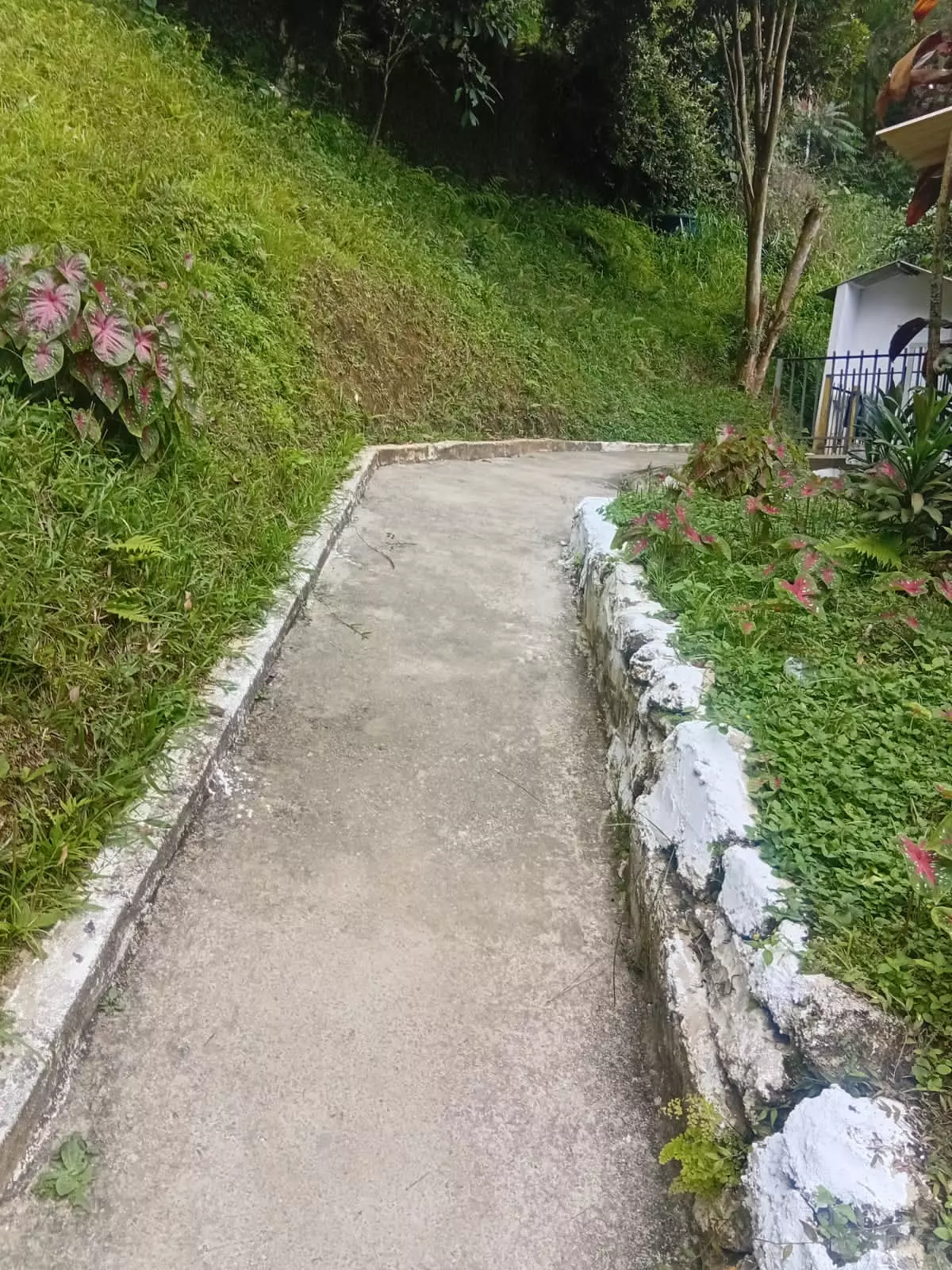 Clínica de recuperação em Itatiaia