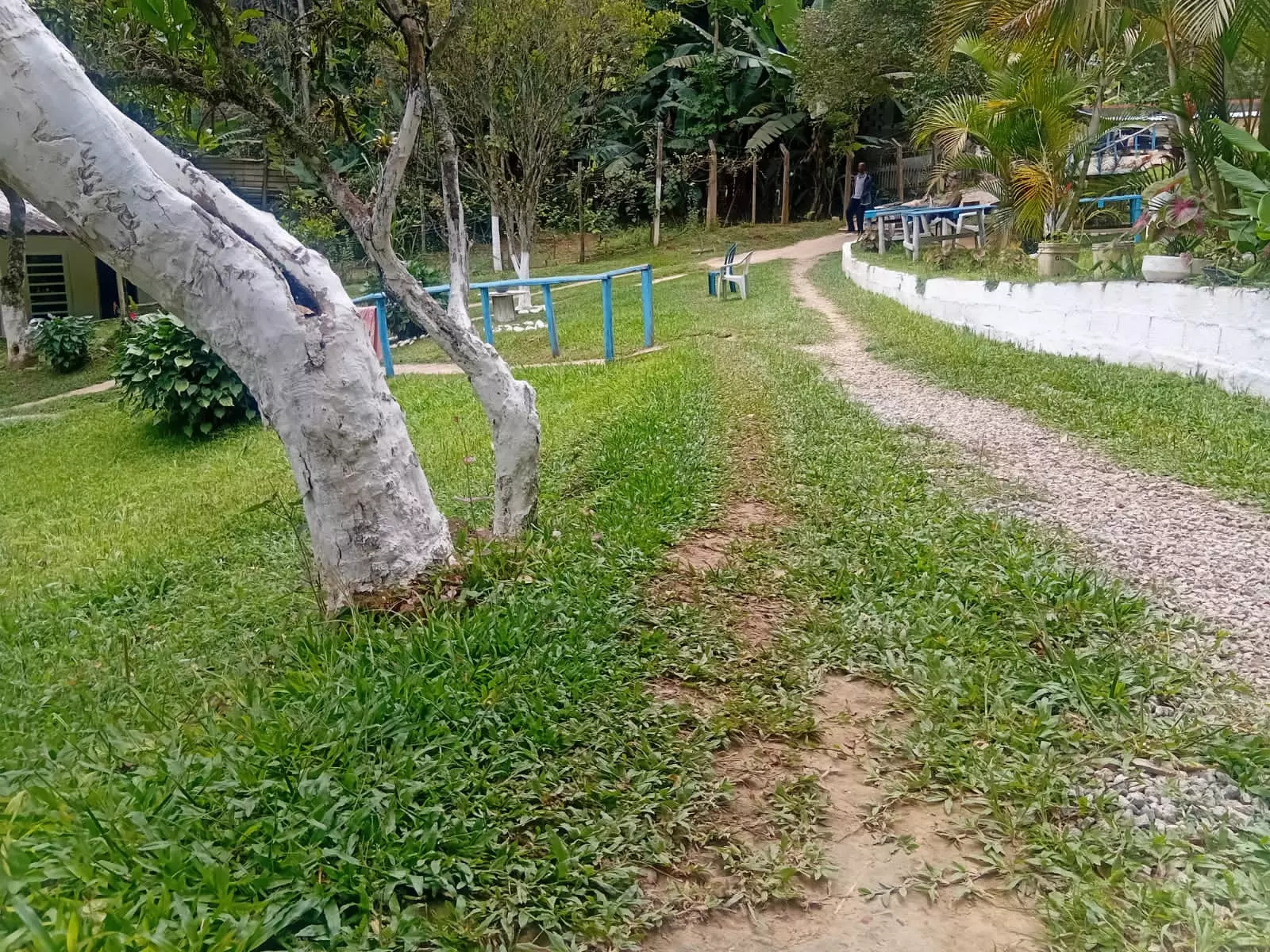 Clínica Popular em Cipó