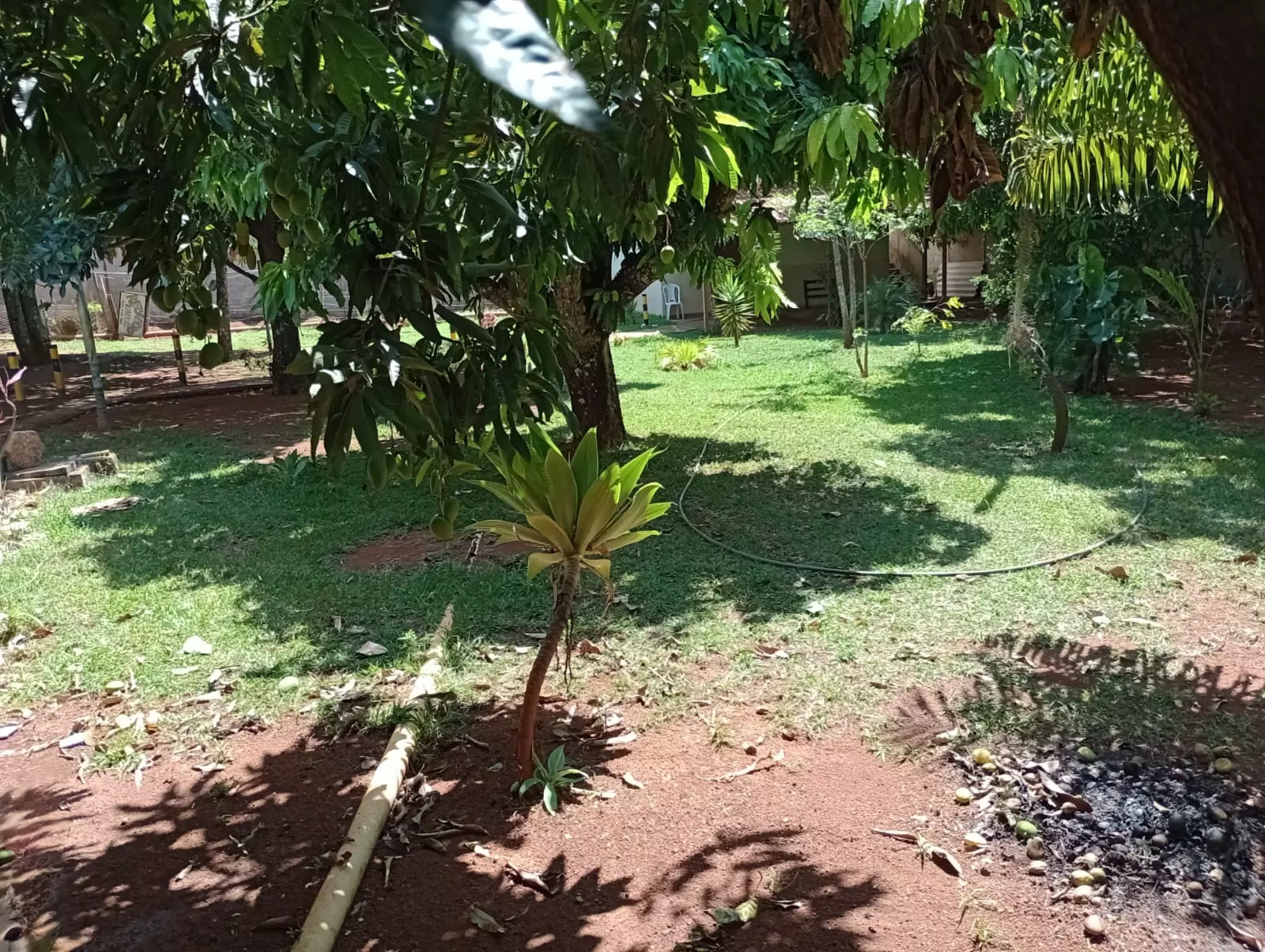 Clínica Popular em São Bernardino