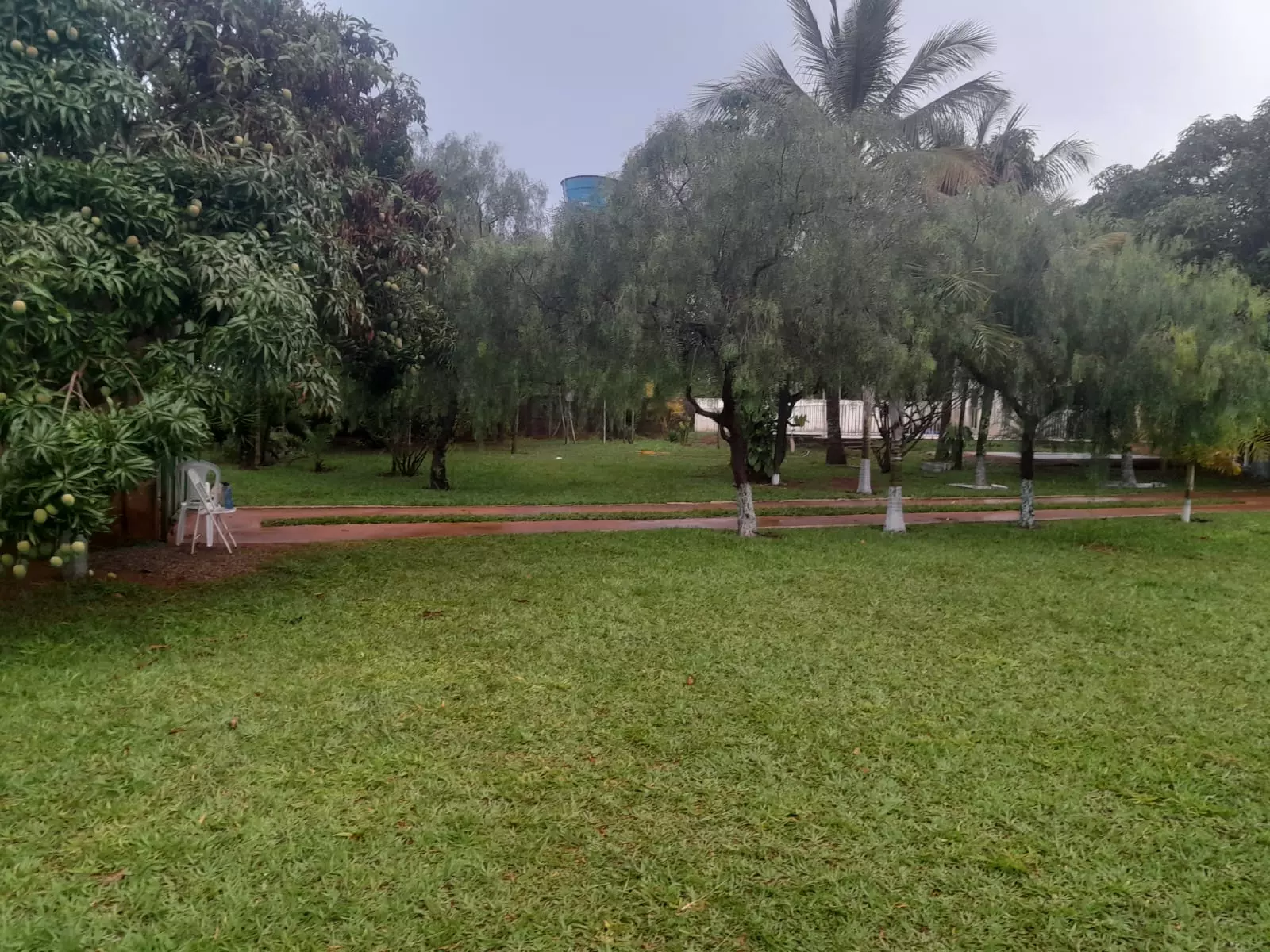 Clínica Popular em Atalaia do Norte