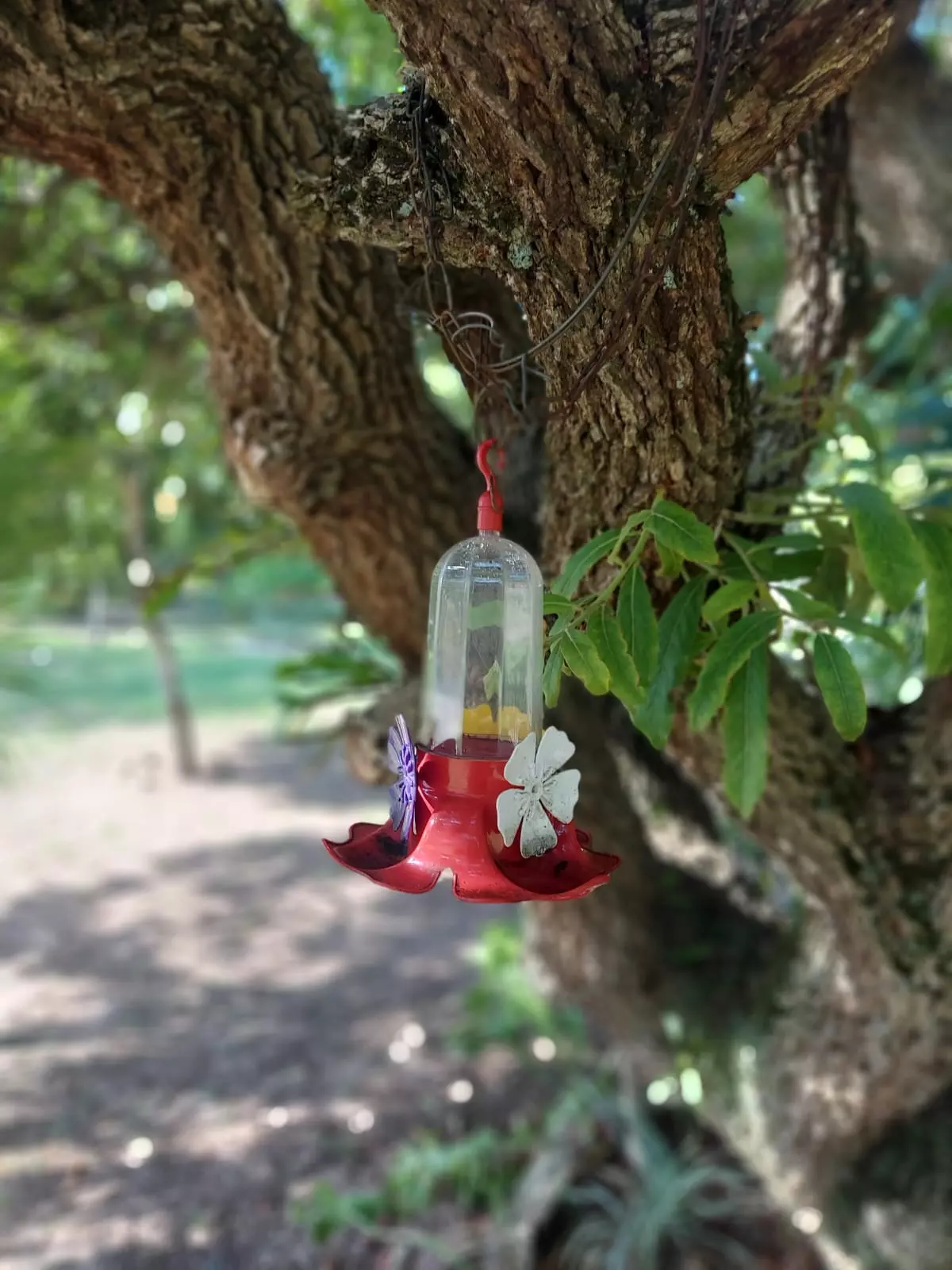Clínica Popular em Terezópolis de Goiás