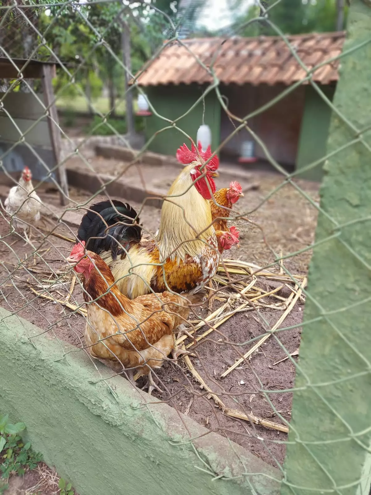 Clínica Popular em Ariquemes