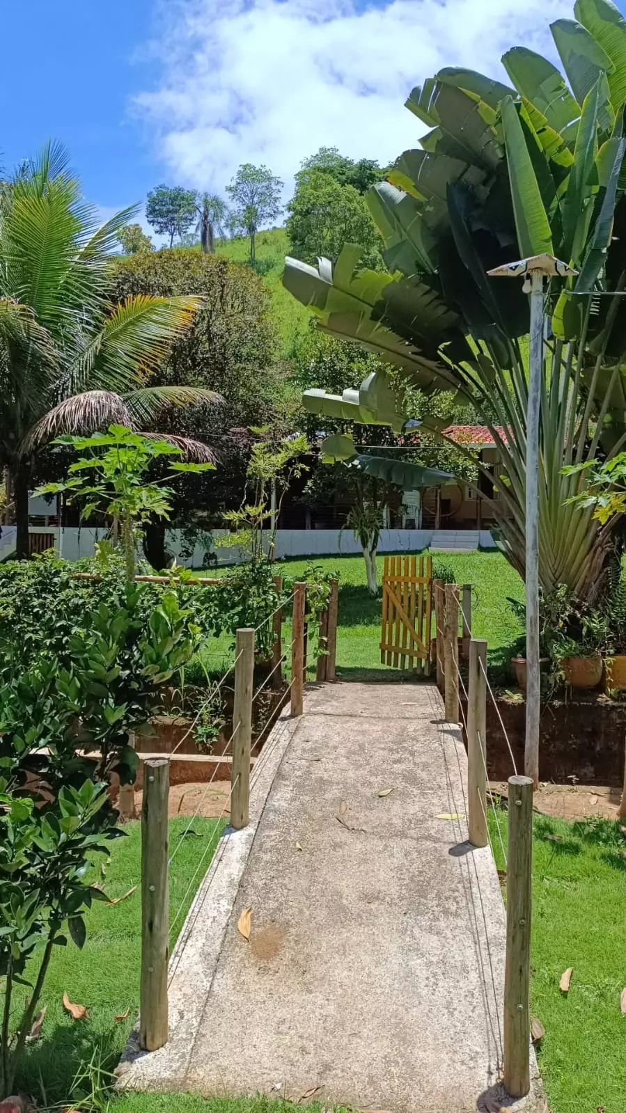 Clínica de recuperação em Mucurici ES