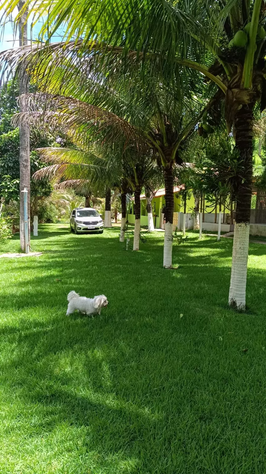 Clínica de recuperação em Timon MA