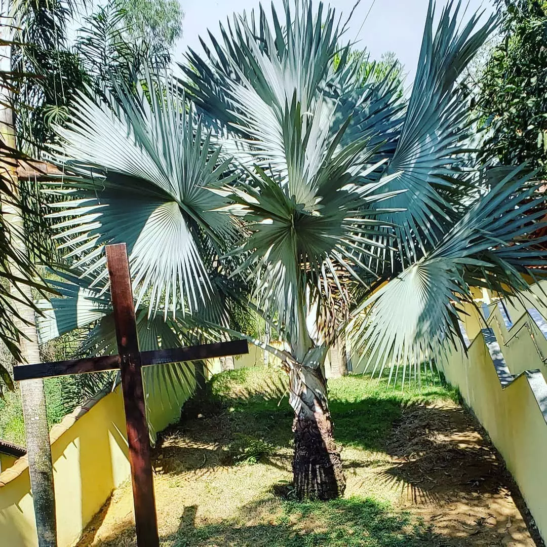 Clínica de recuperação em Santo Antônio do Sudoeste PR