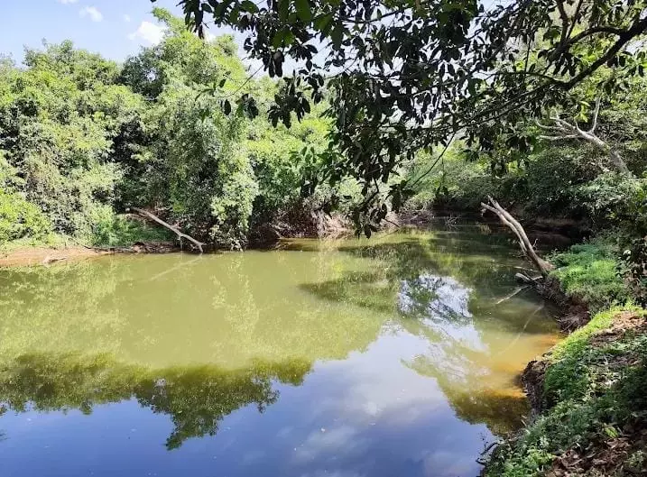 Tratamento dependência química Areia Branca