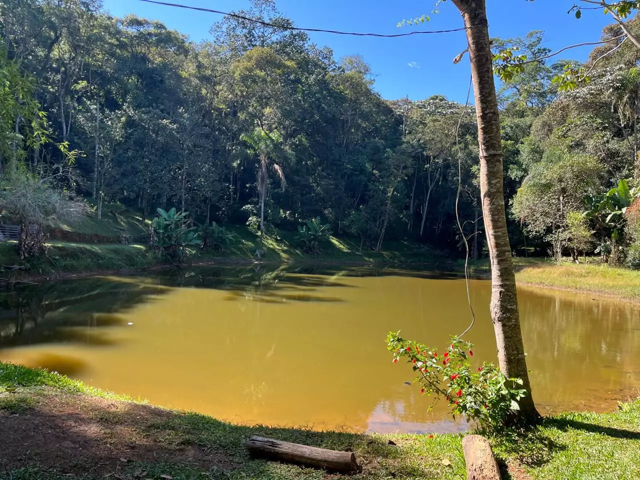 Clínica Médio Padrão em Acrelândia
