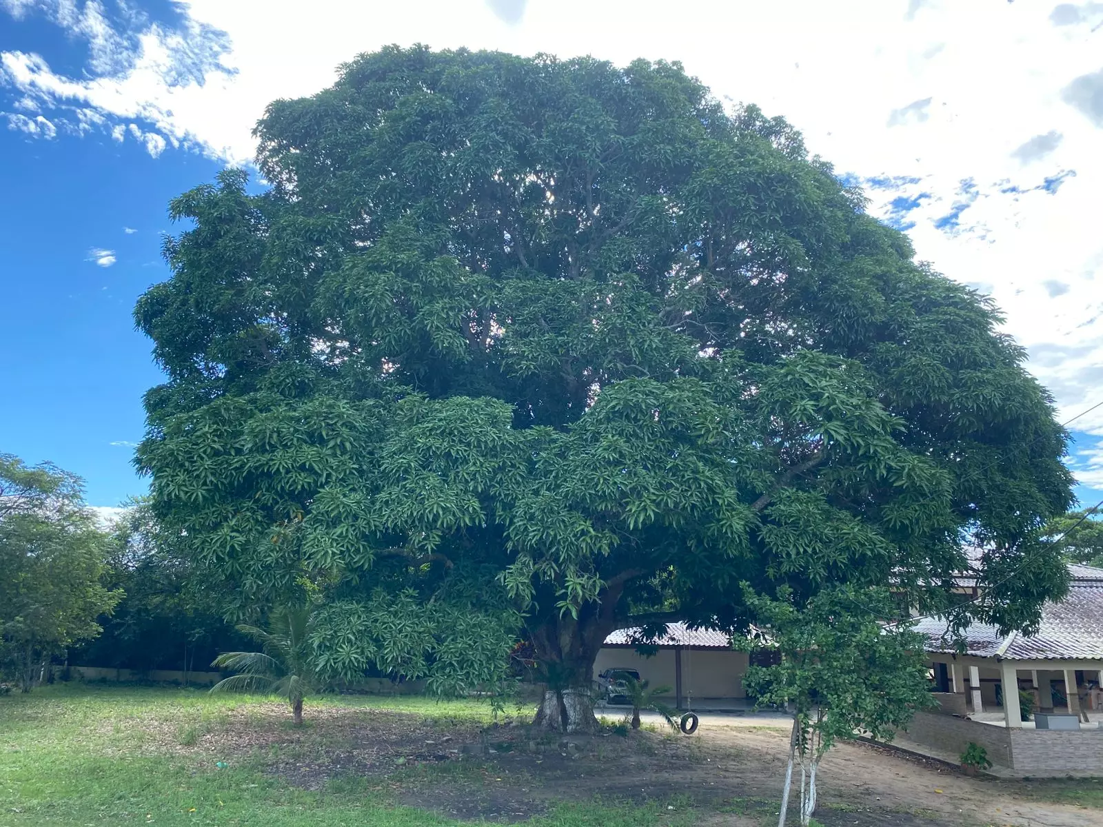 Clínica Médio Padrão PB