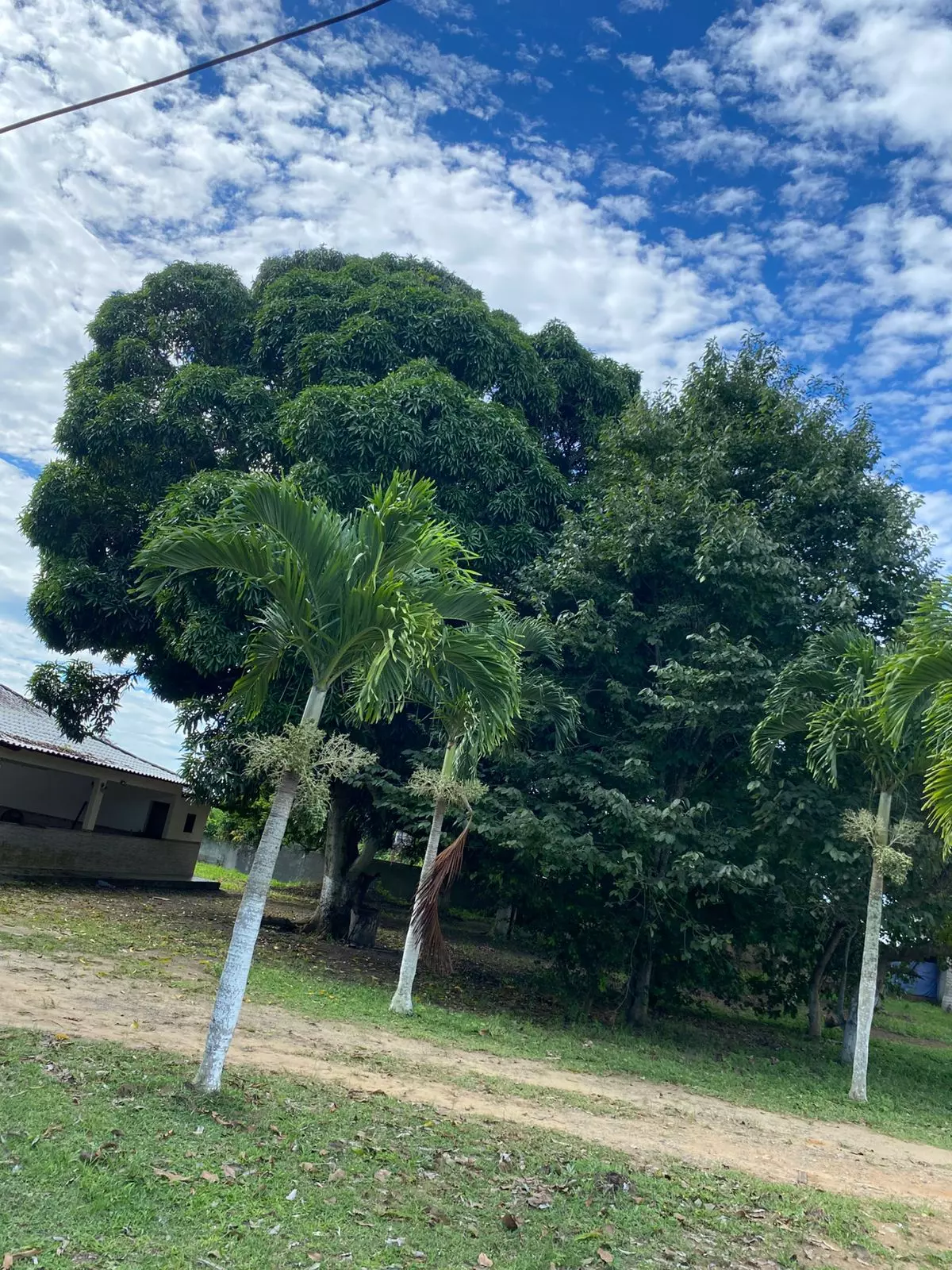 Clínica Médio Padrão MG