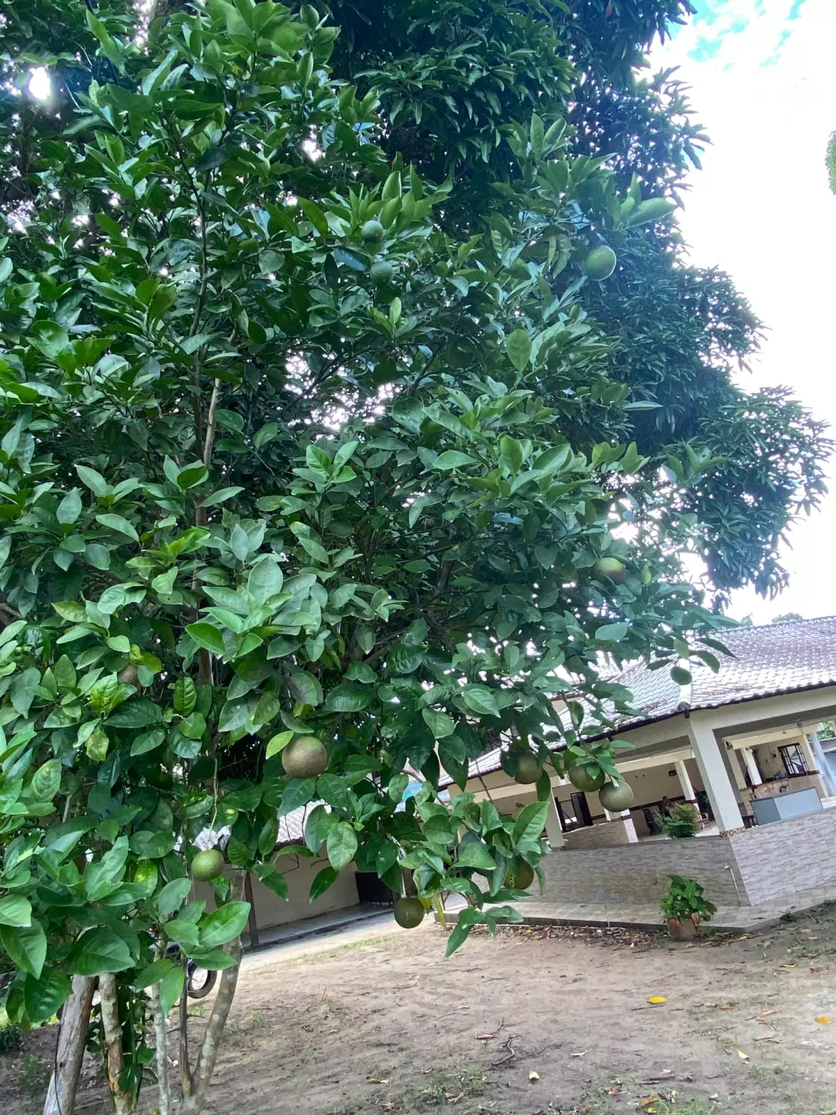 Clínica Médio Padrão PB