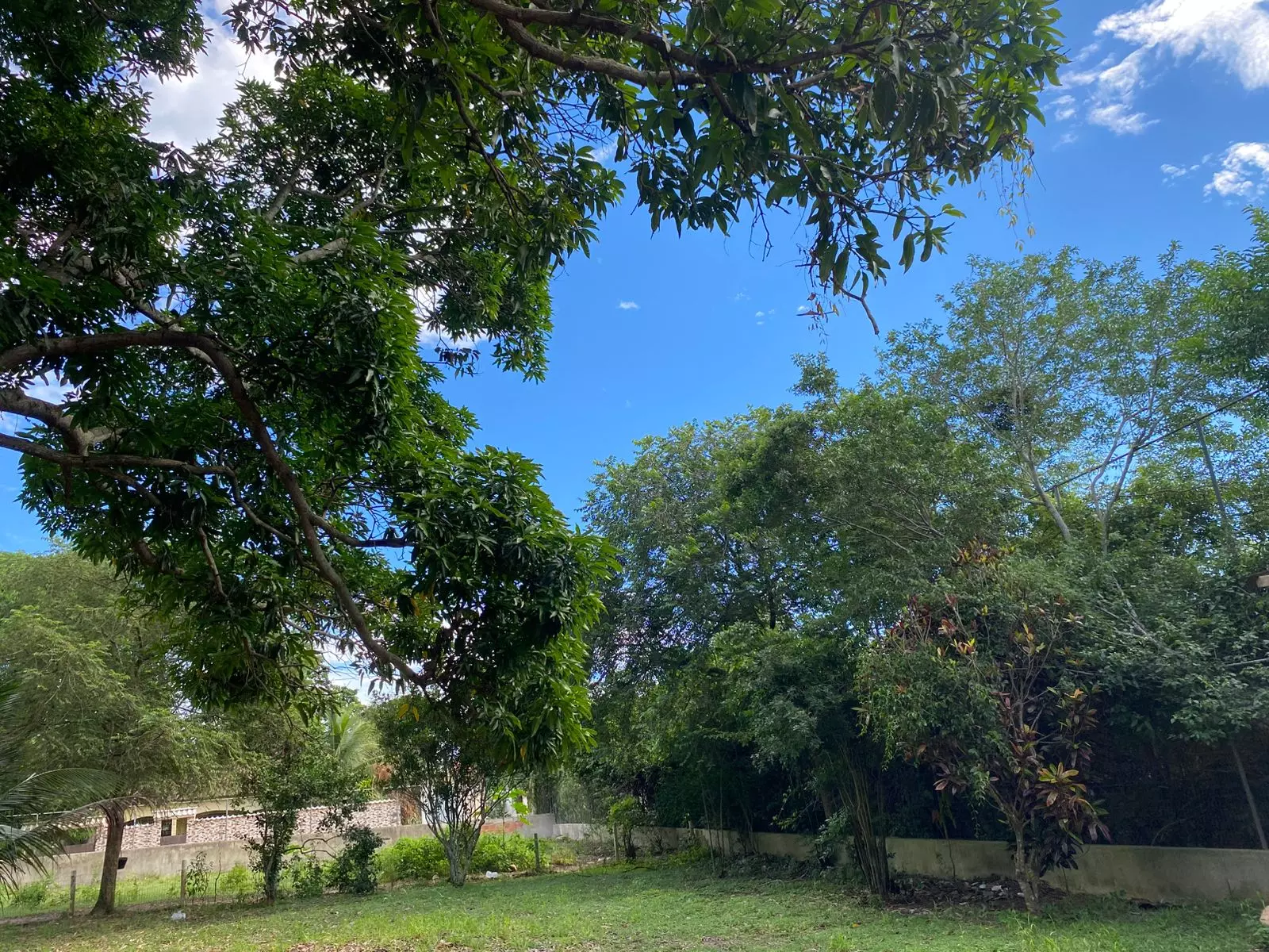 Clínica Médio Padrão BA