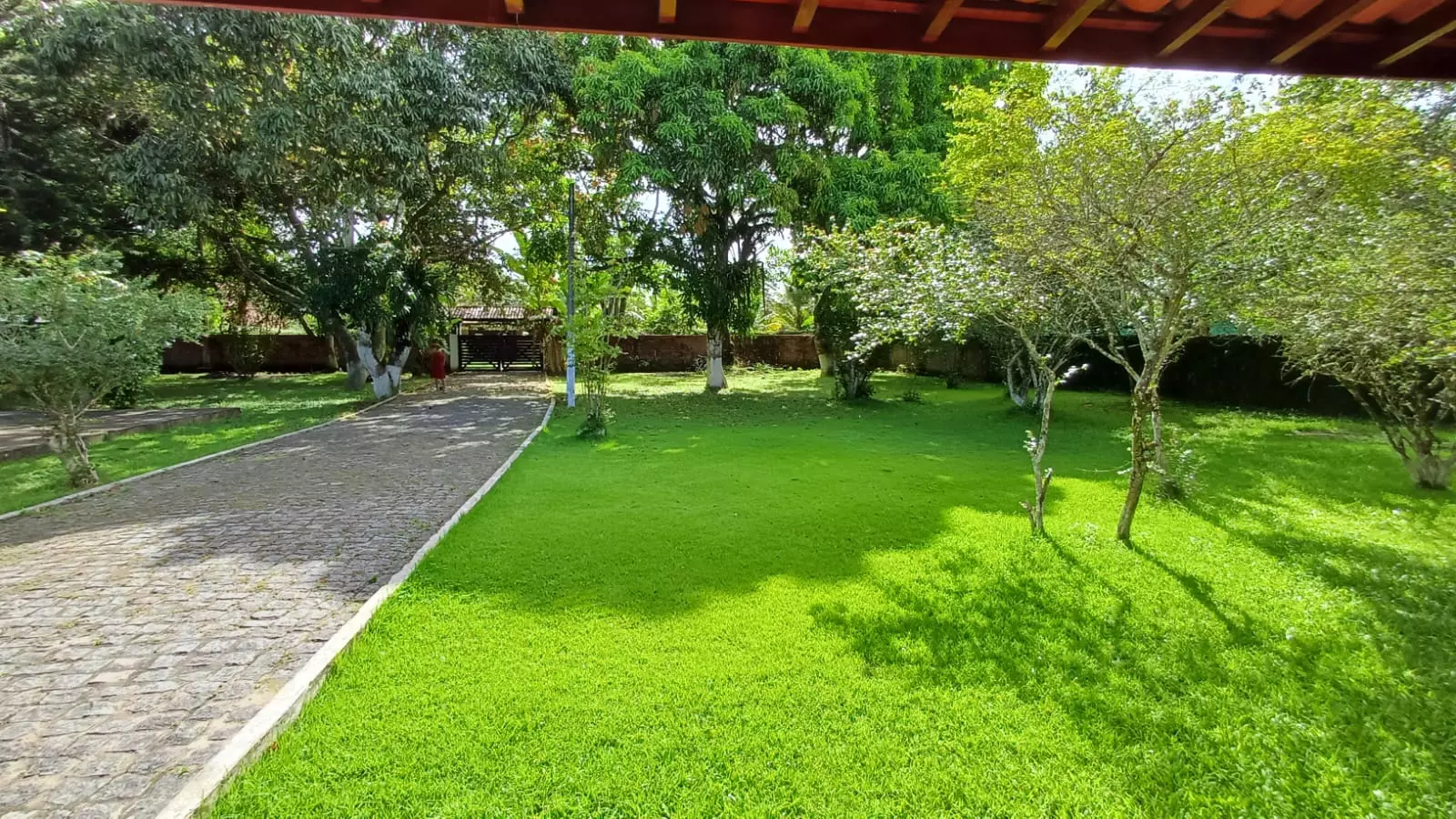 Clínica Médio Padrão AM