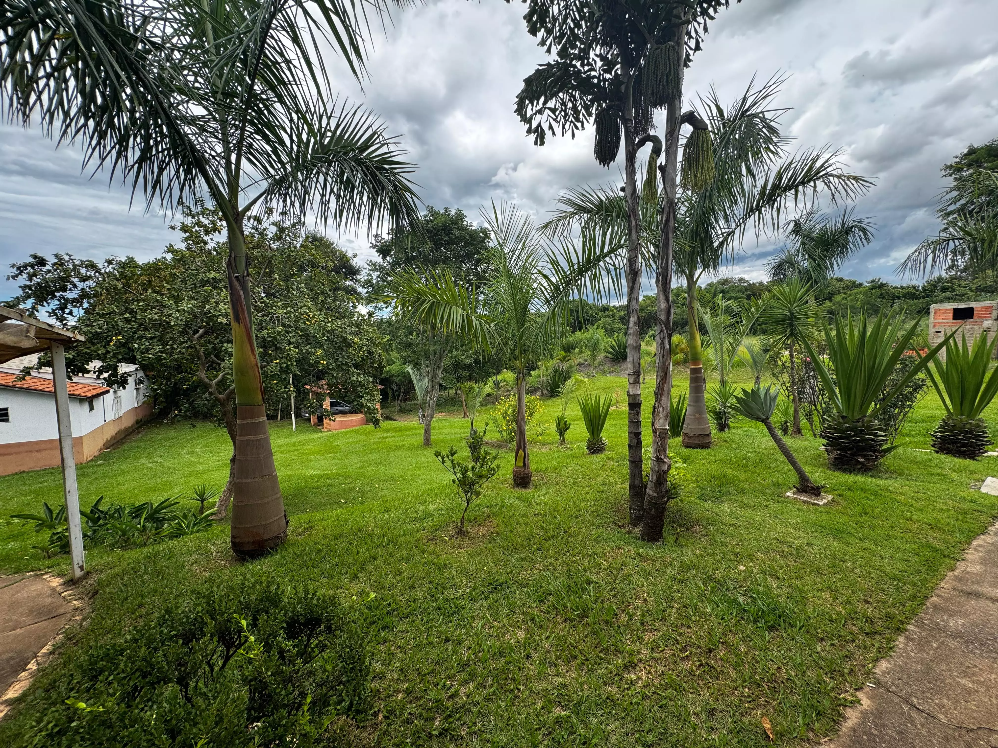 Clínica Alto Padrão em Quixabeira