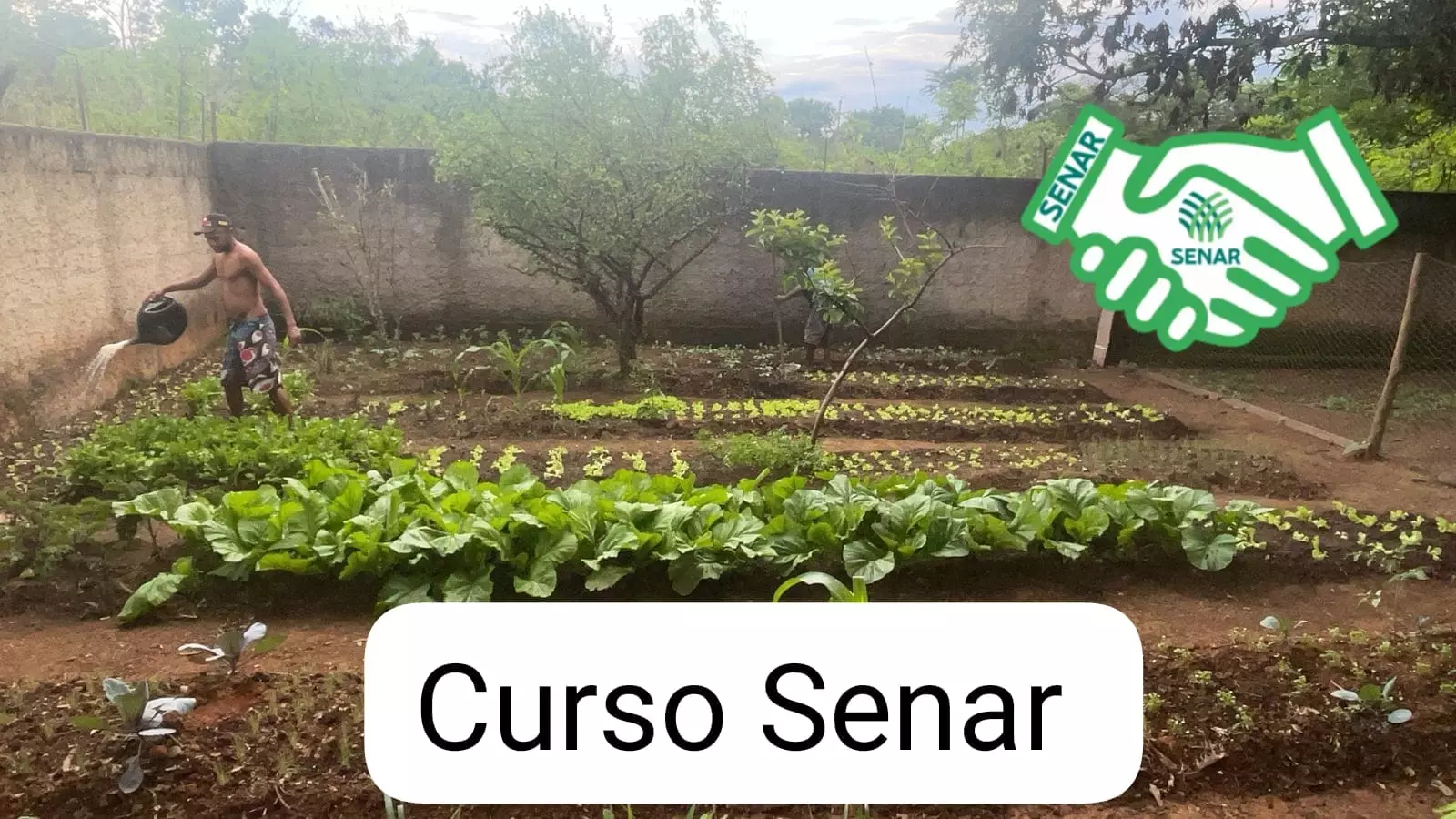 Clínica Alto Padrão BA