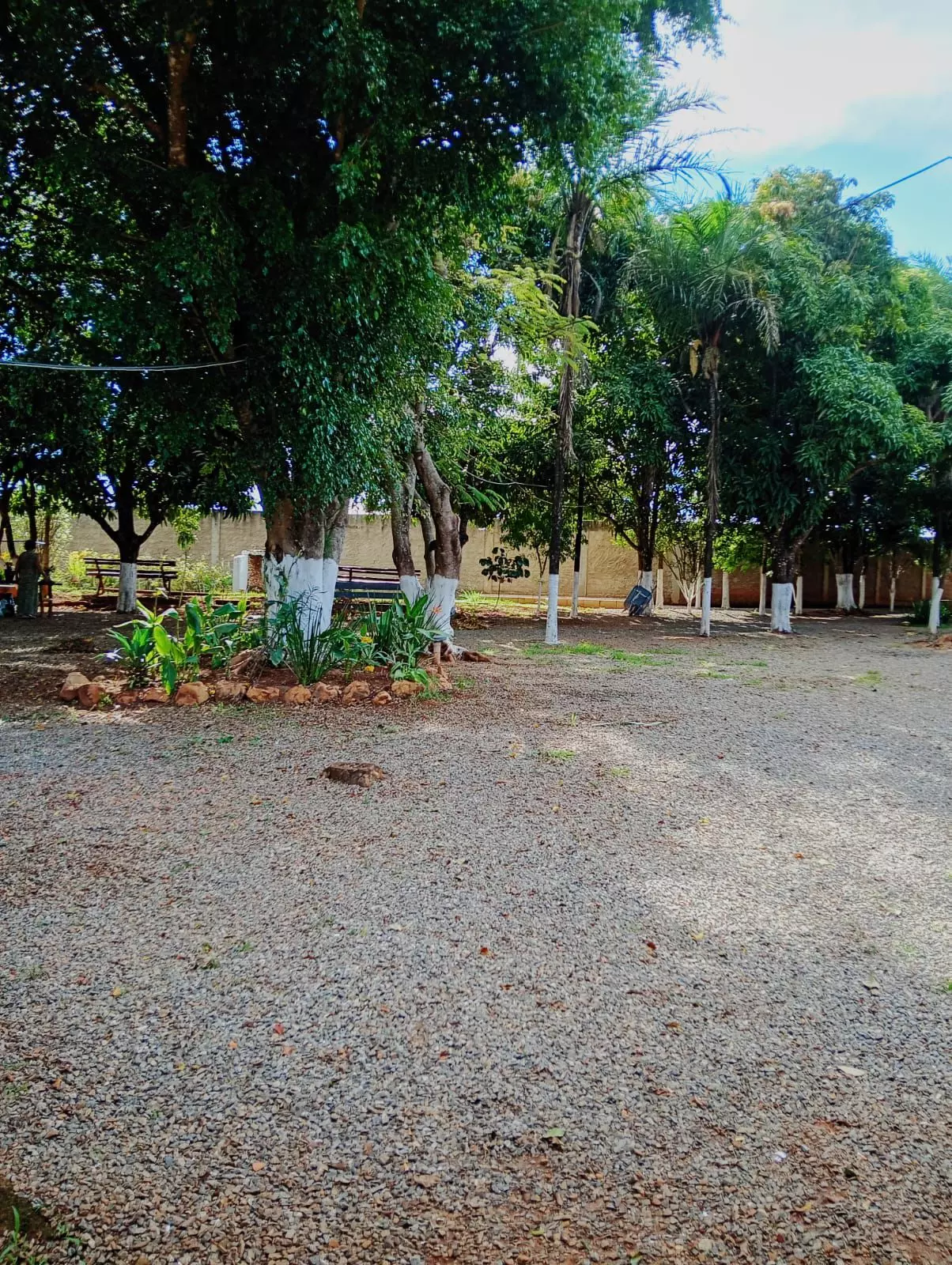 Clínica Alto Padrão SP