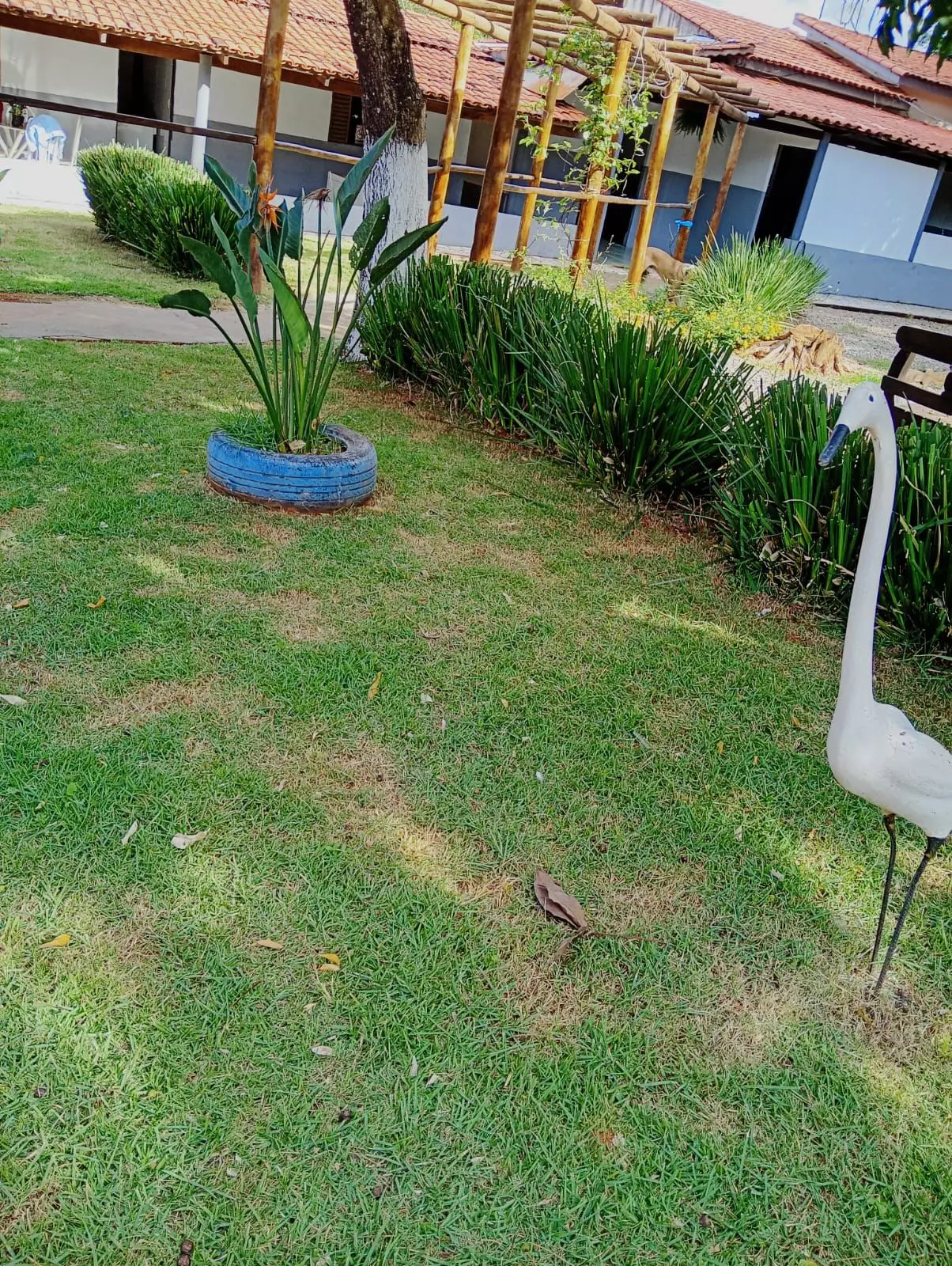 Clínica Alto Padrão MG