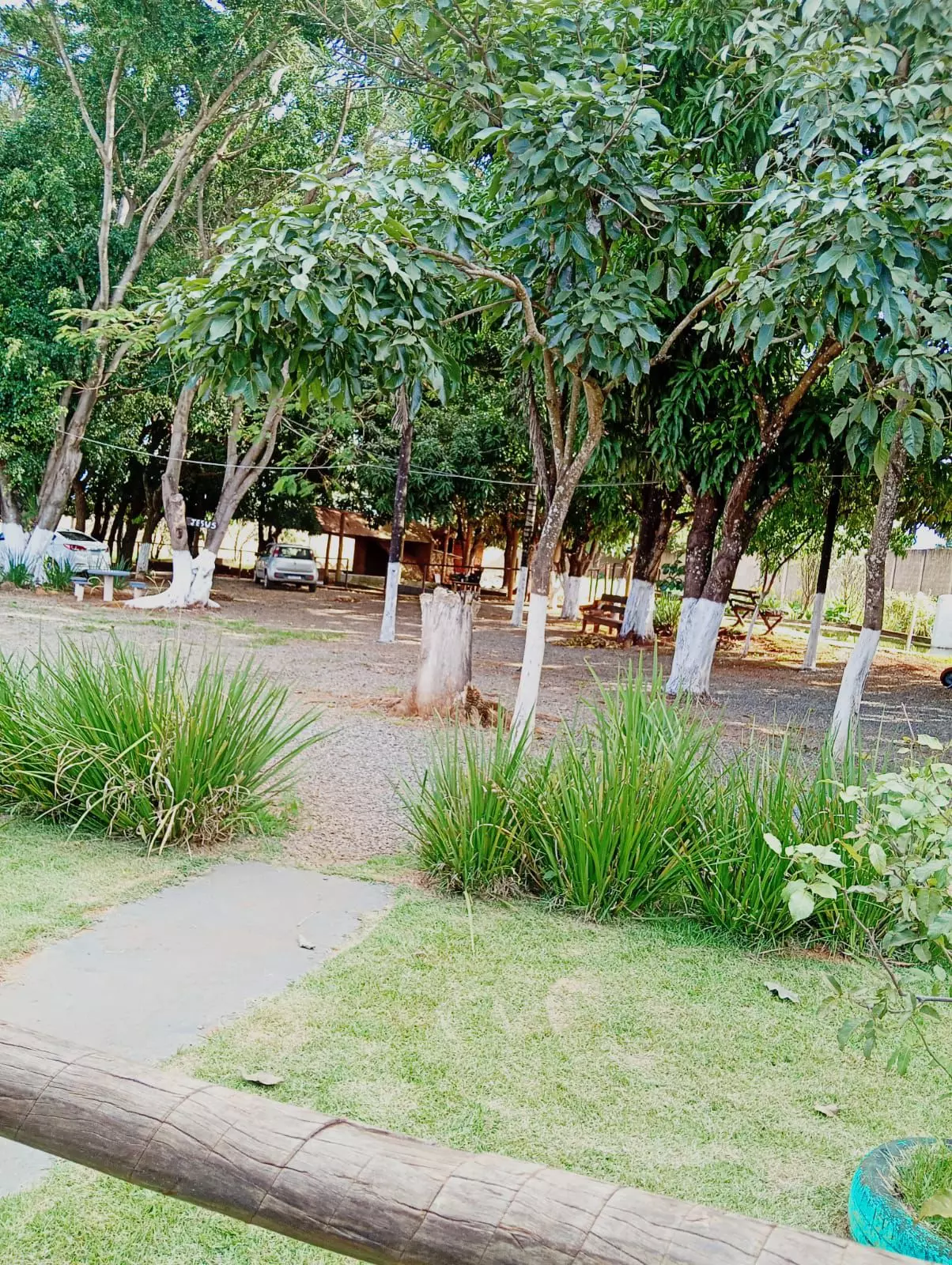 Clínica Alto Padrão MG