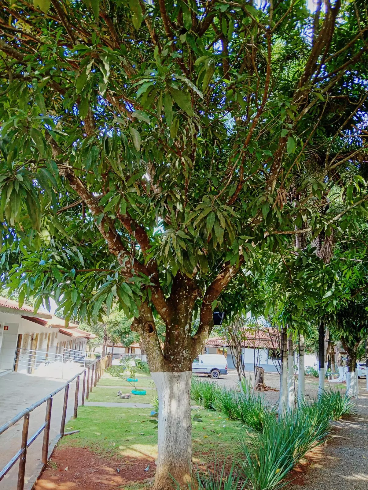 Clínica Alto Padrão PE