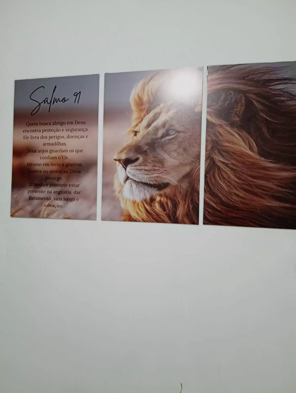 Clínica Alto Padrão AM