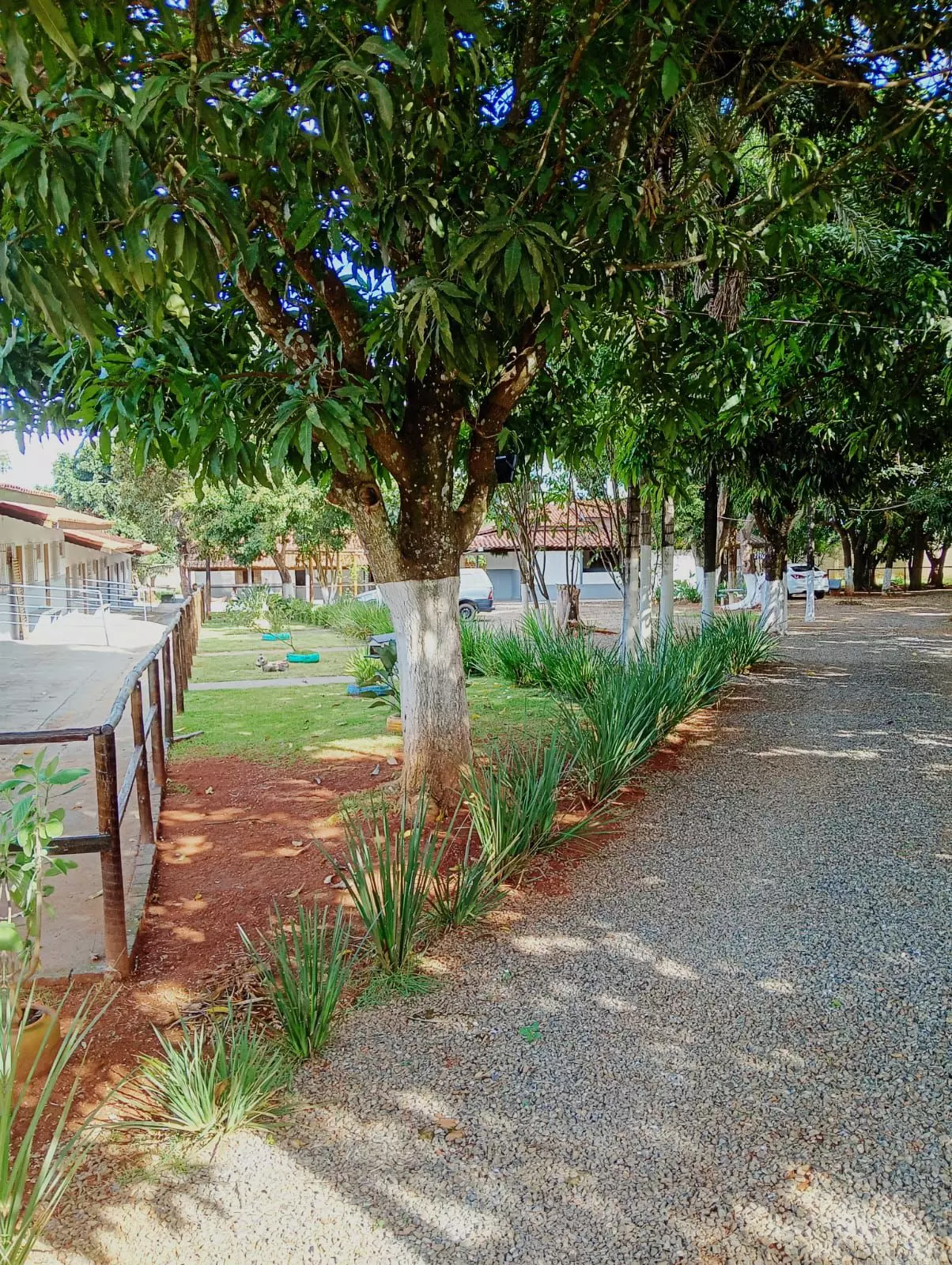 Clínica Alto Padrão AL