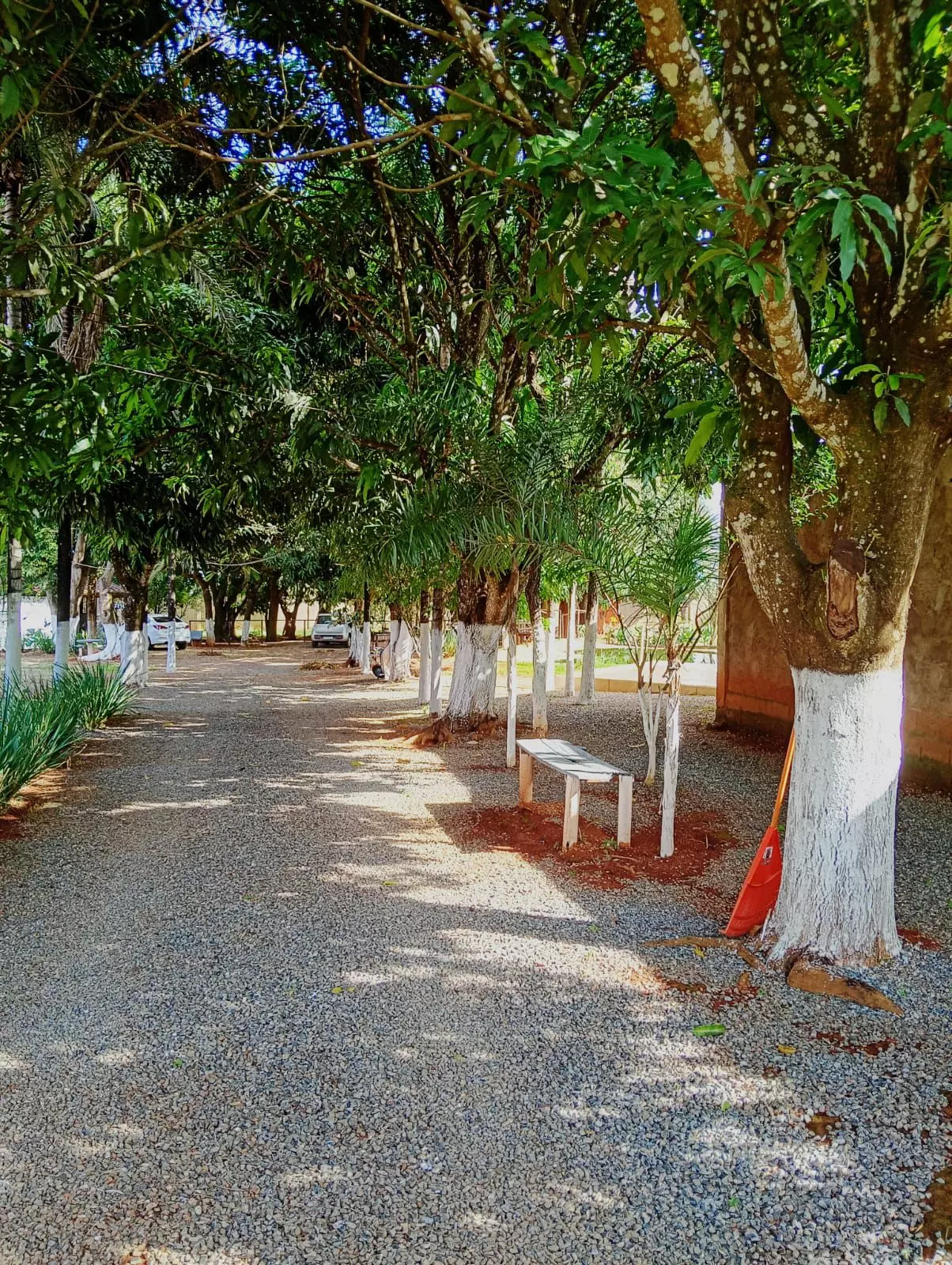 Clínica Alto Padrão ES