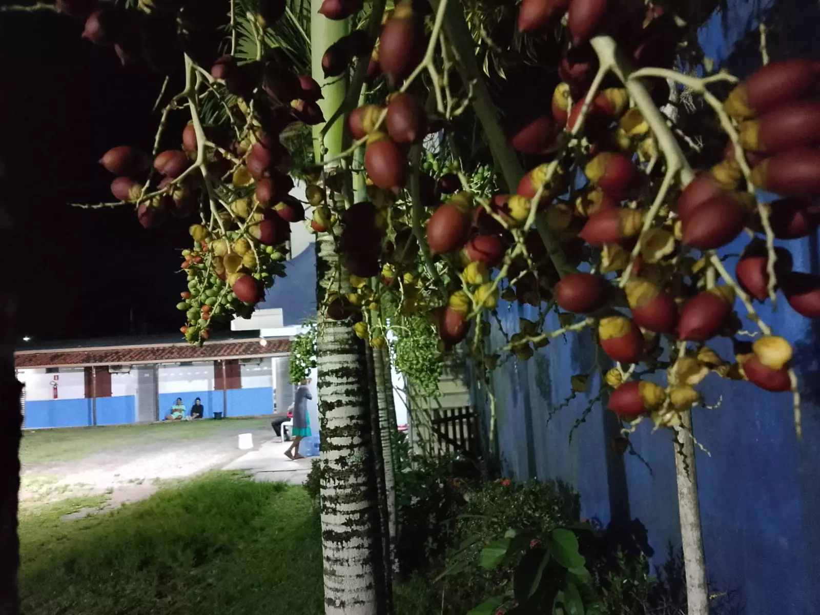 Clínica Premium em Nova Viçosa