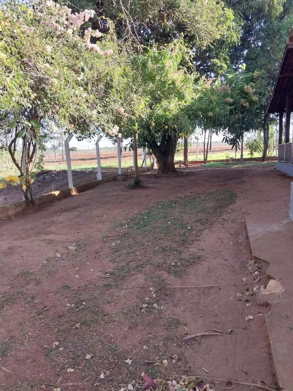 Clínica Premium MG